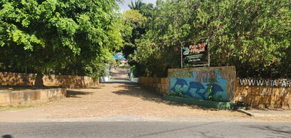 Service Image