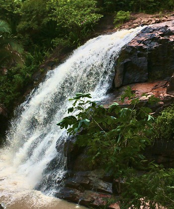 Features Image